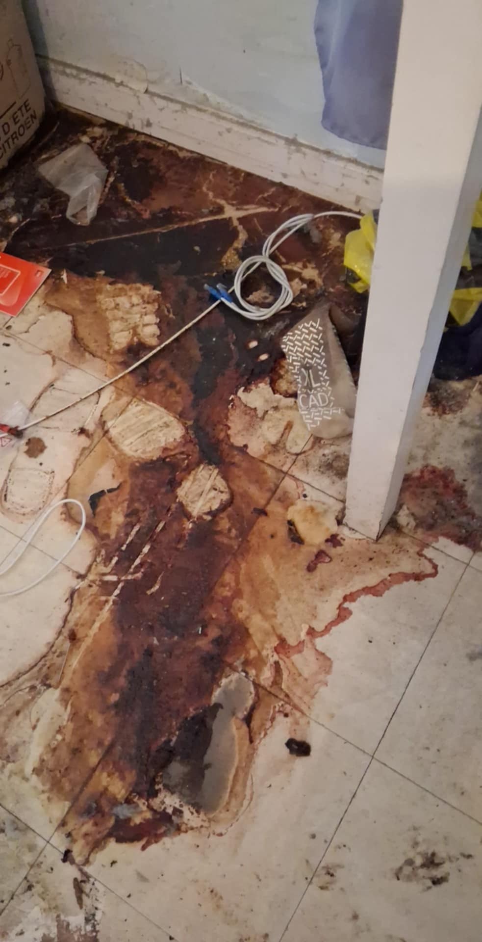 Les détecteurs de gaz sont-ils utiles lors d’un nettoyage après décès ? Focus sur Levallois et les environs WhatsApp Image 2025 04 17 A 15.46.17 4b3920f9